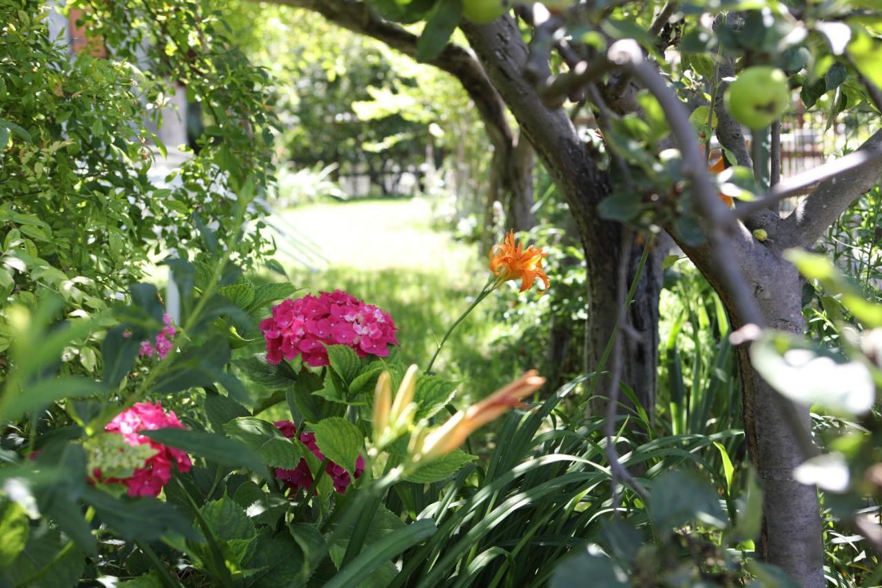 Le Rosier B&B E Appartamento Saint-Vincent Buitenkant foto
